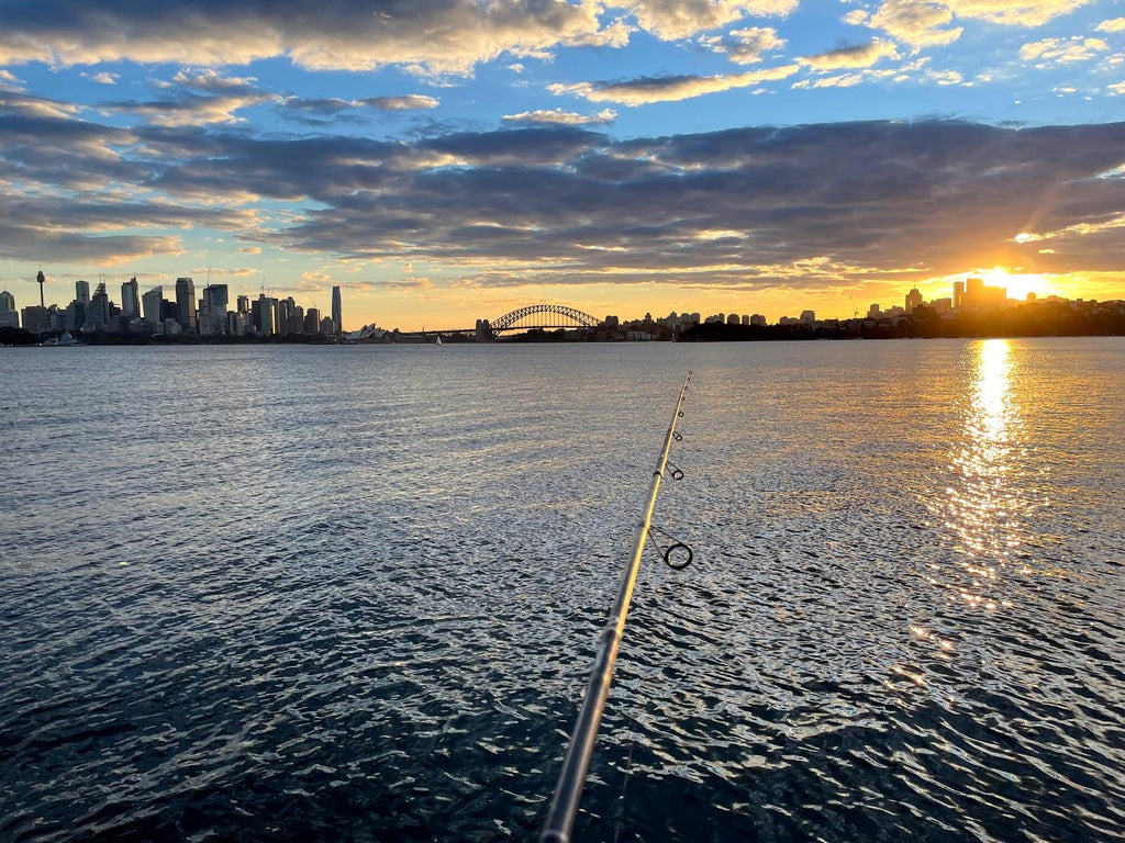 The Sydney Weekend Fishing Blueprint